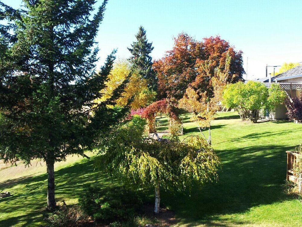Drummond Lodge Williams Lake Bagian luar foto